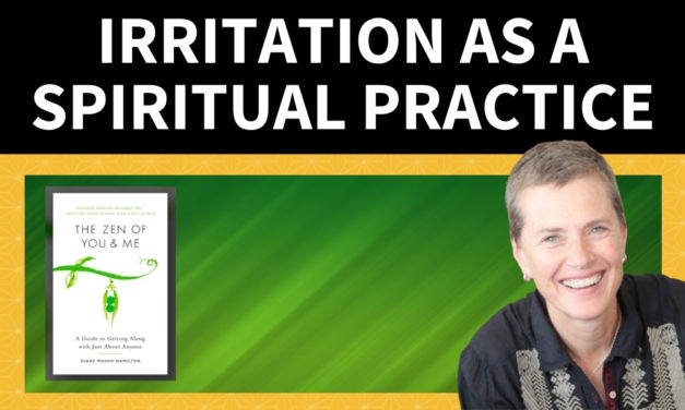 Irritation as a Spiritual Practice – A conversation with Diane Musho Hamilton