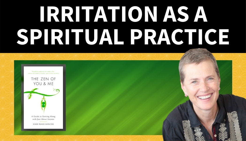 Irritation as a Spiritual Practice – A conversation with Diane Musho Hamilton