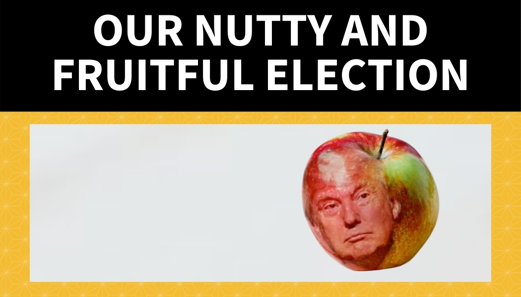 Our Nutty and Fruitful Election – A conversation with Jeff Salzman, Diane Musho Hamilton & Terry Patten