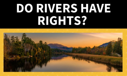 Do Rivers Have Rights?