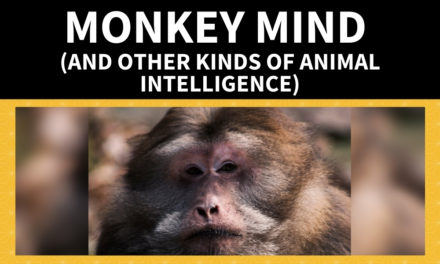 Monkey Mind (And Other Kinds of Animal Intelligence)