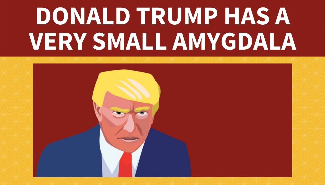 Donald Trump Has A Very Small Amygdala