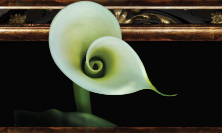 The Energetic Properties of Beauty, Truth, and Goodness