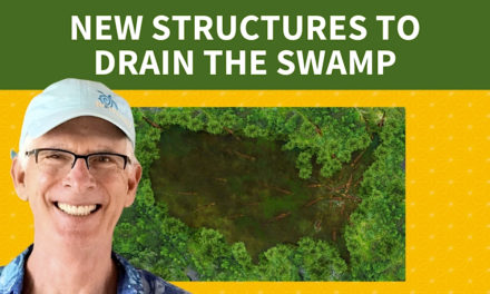 New Structures to Drain the Swamp