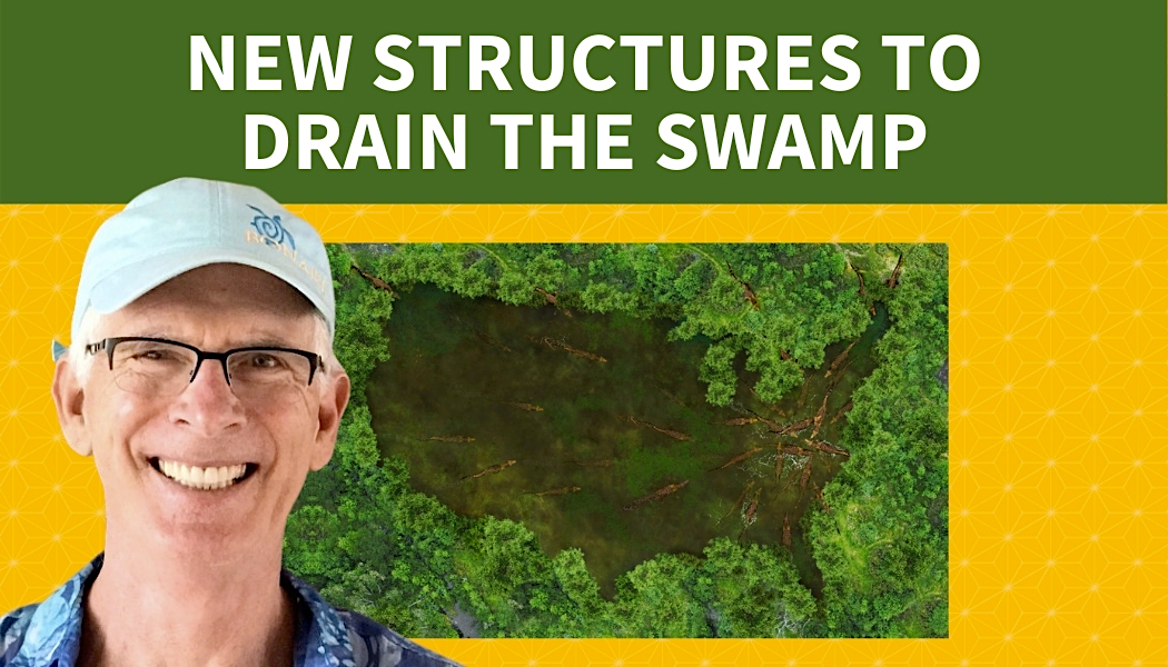 New Structures to Drain the Swamp