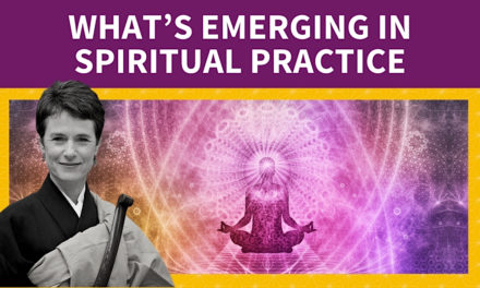 What’s Emerging in Spiritual Practice: A Conversation with Diane Musho Hamilton