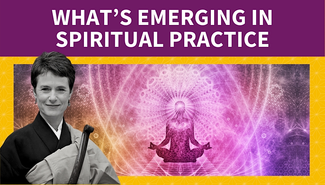 What’s Emerging in Spiritual Practice: A Conversation with Diane Musho Hamilton