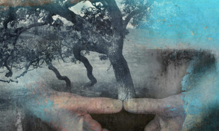 Awaken the Wisdom Body