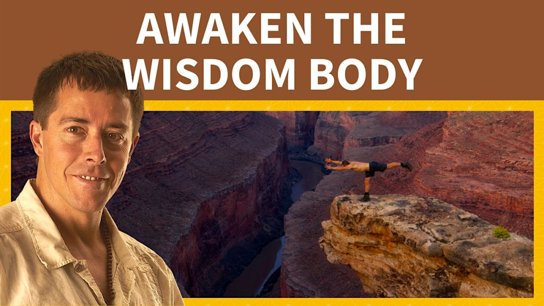 Awaken the Wisdom Body