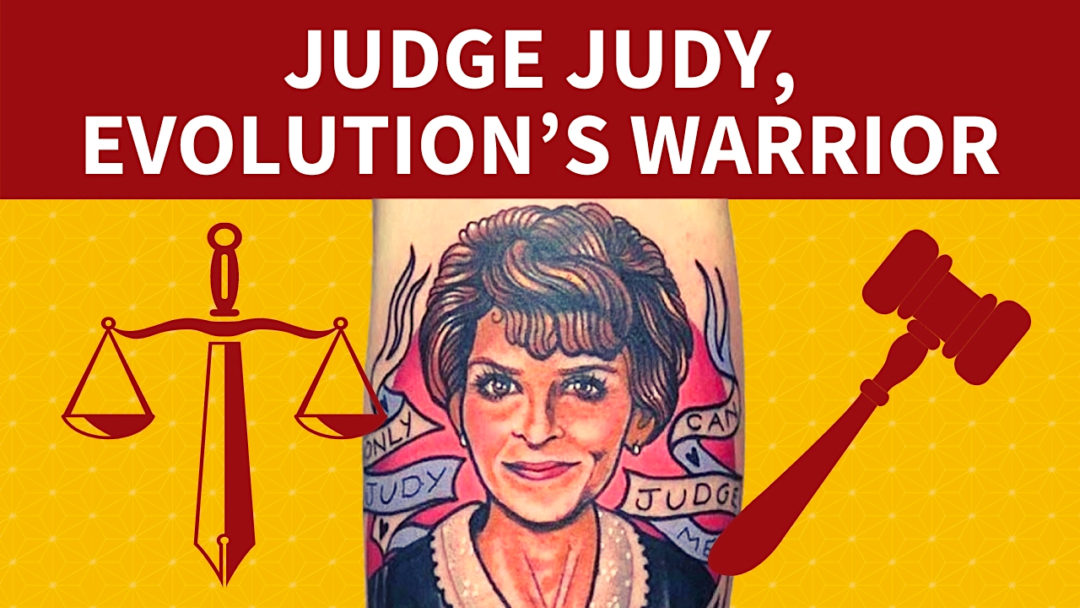 Judge Judy, Evolution’s Warrior
