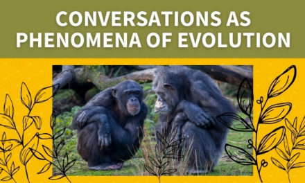 Conversations as Phenomena of Evolution