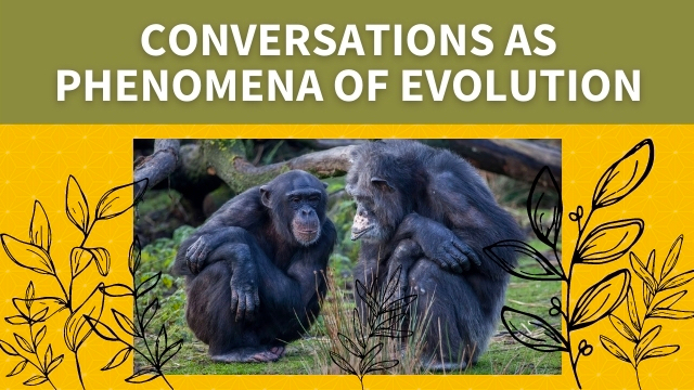 Conversations as Phenomena of Evolution