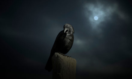 Some Cheery Contemplations on Death