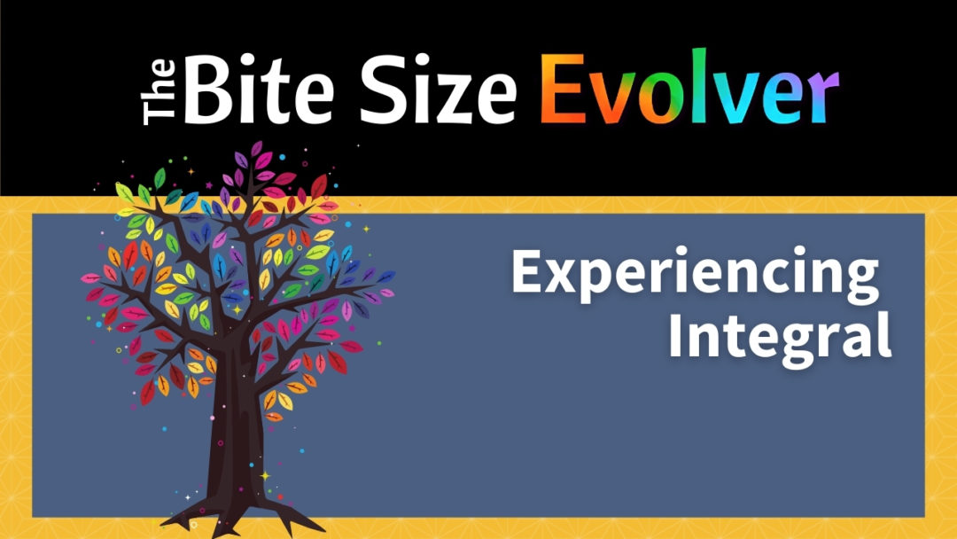 Bite Size: Experiencing Integral – 20 minutes