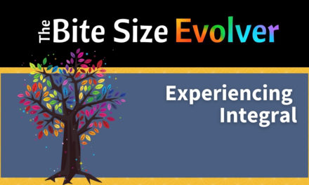 Bite Size: Experiencing Integral – 20 minutes