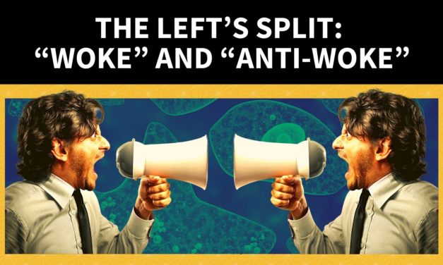 The Left’s Split: “Woke” and “Anti-Woke”