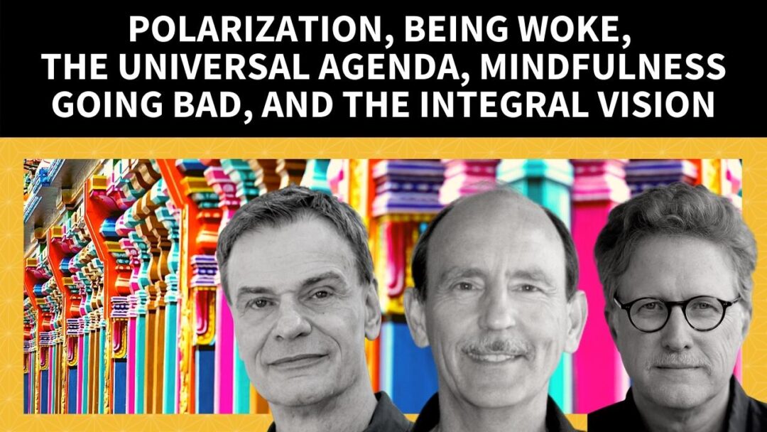 Polarization, Being Woke, the Universal Agenda, Mindfulness Going Bad, and the Integral Vision