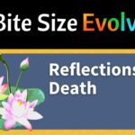 Reflections on Death (5 minutes)