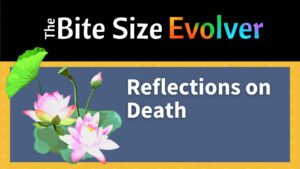 Reflections on Death (5 minutes)